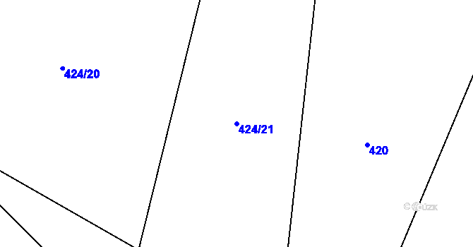 Parcela st. 424/21 v KÚ Radošice, Katastrální mapa
