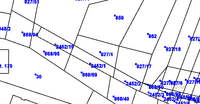 Parcela st. 827/1 v KÚ Radošovice u Vlašimi, Katastrální mapa