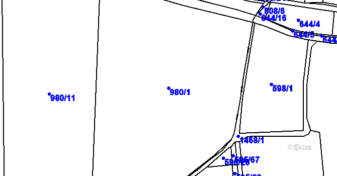 Parcela st. 980/1 v KÚ Tupesy, Katastrální mapa