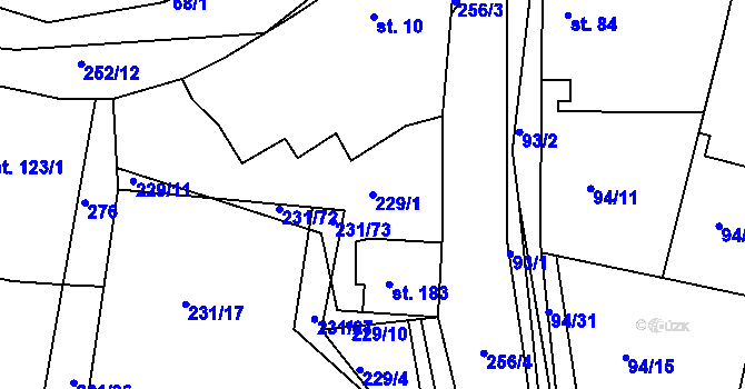 Parcela st. 229/1 v KÚ Radovesnice I, Katastrální mapa
