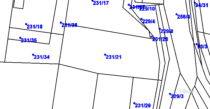 Parcela st. 231/21 v KÚ Radovesnice I, Katastrální mapa
