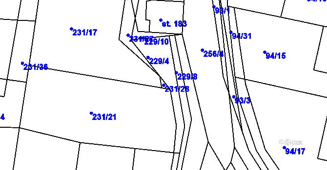 Parcela st. 231/28 v KÚ Radovesnice I, Katastrální mapa