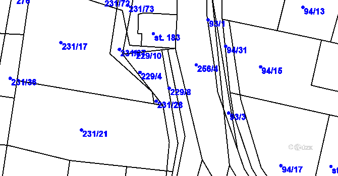 Parcela st. 229/8 v KÚ Radovesnice I, Katastrální mapa