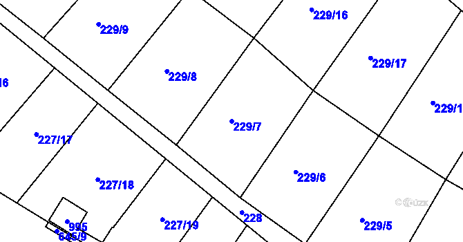 Parcela st. 229/7 v KÚ Radvanice v Čechách, Katastrální mapa