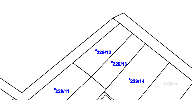 Parcela st. 229/12 v KÚ Radvanice v Čechách, Katastrální mapa