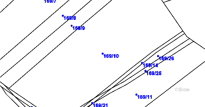 Parcela st. 169/10 v KÚ Radvanov u Mladé Vožice, Katastrální mapa