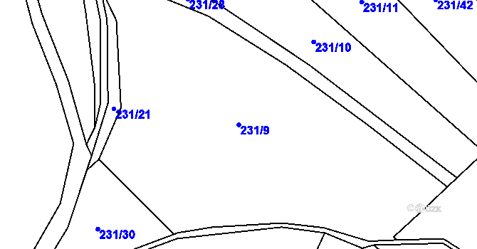 Parcela st. 231/9 v KÚ Radvanov u Mladé Vožice, Katastrální mapa