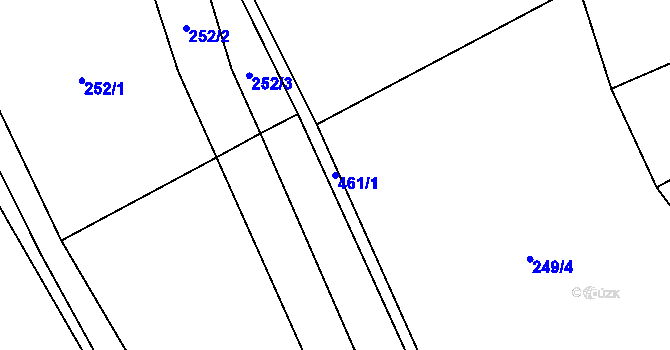 Parcela st. 461/1 v KÚ Radvanov u Mladé Vožice, Katastrální mapa