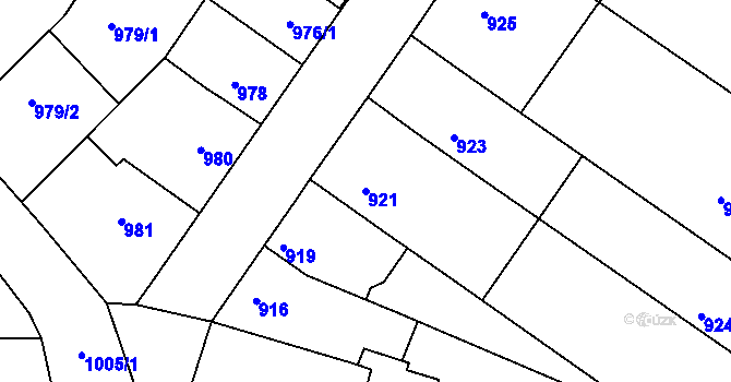 Parcela st. 921 v KÚ Rájec nad Svitavou, Katastrální mapa