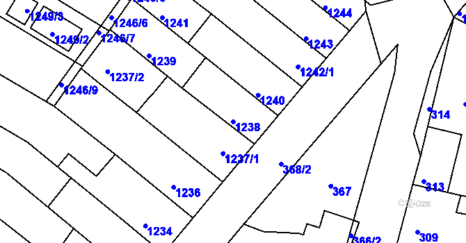 Parcela st. 1238 v KÚ Rájec nad Svitavou, Katastrální mapa