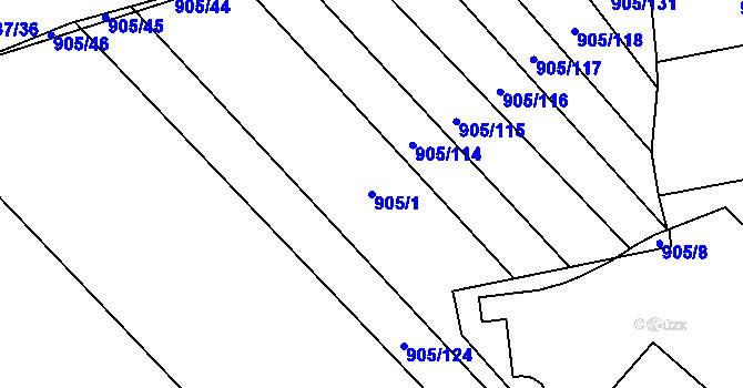 Parcela st. 905/1 v KÚ Rajhrad, Katastrální mapa