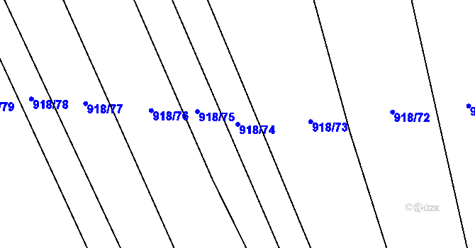Parcela st. 918/74 v KÚ Rajhradice, Katastrální mapa