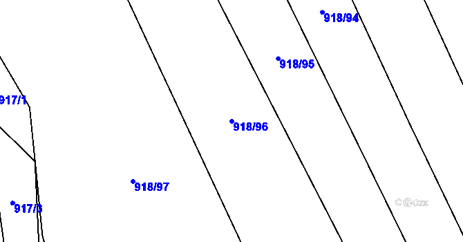 Parcela st. 918/96 v KÚ Rajhradice, Katastrální mapa