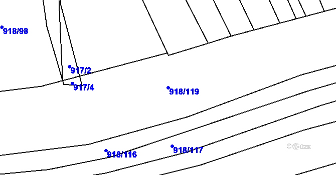 Parcela st. 918/119 v KÚ Rajhradice, Katastrální mapa