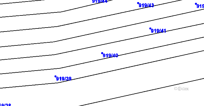 Parcela st. 919/40 v KÚ Rajhradice, Katastrální mapa