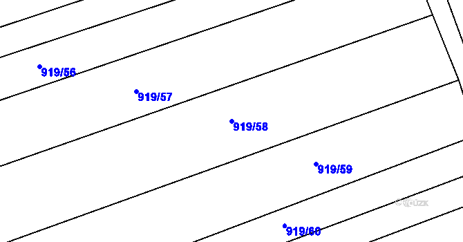 Parcela st. 919/58 v KÚ Rajhradice, Katastrální mapa