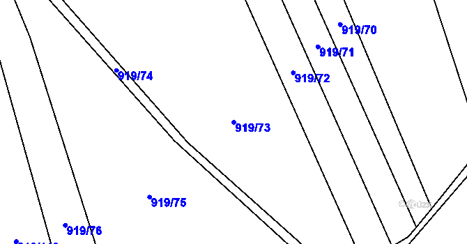 Parcela st. 919/73 v KÚ Rajhradice, Katastrální mapa