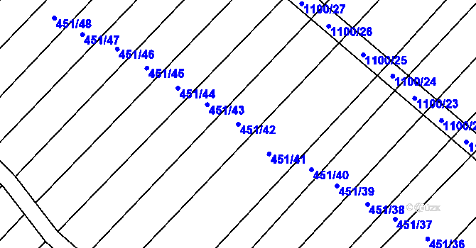 Parcela st. 451/42 v KÚ Raková u Konice, Katastrální mapa