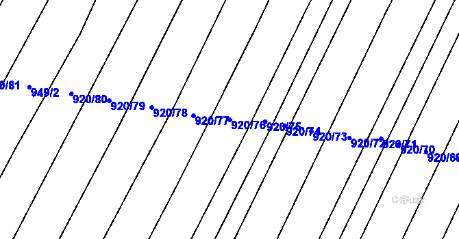 Parcela st. 920/76 v KÚ Raková u Konice, Katastrální mapa
