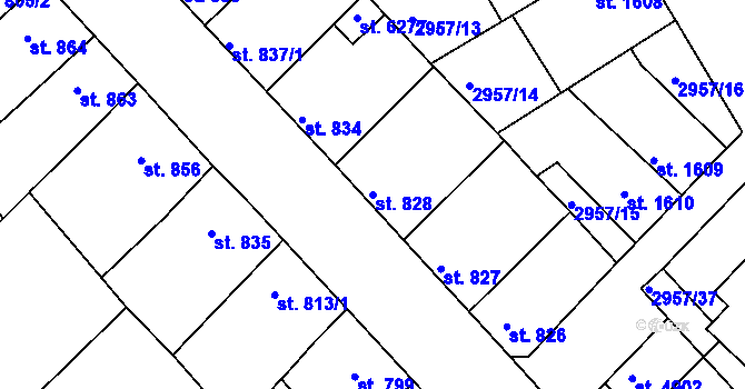 Parcela st. 828 v KÚ Rakovník, Katastrální mapa