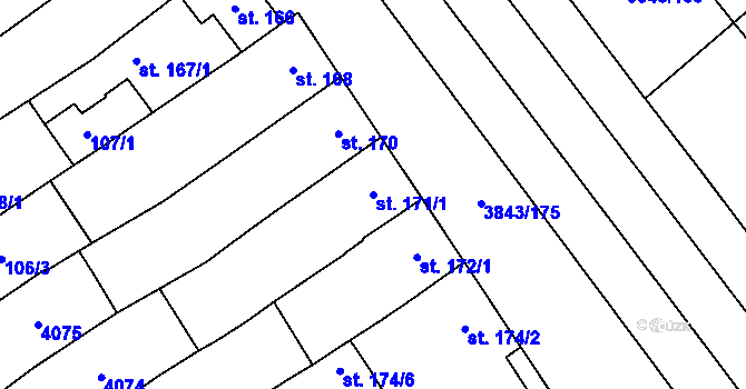 Parcela st. 171/1 v KÚ Rakvice, Katastrální mapa