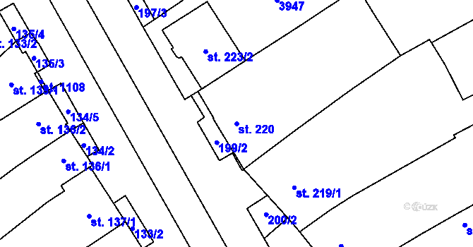 Parcela st. 220 v KÚ Rakvice, Katastrální mapa