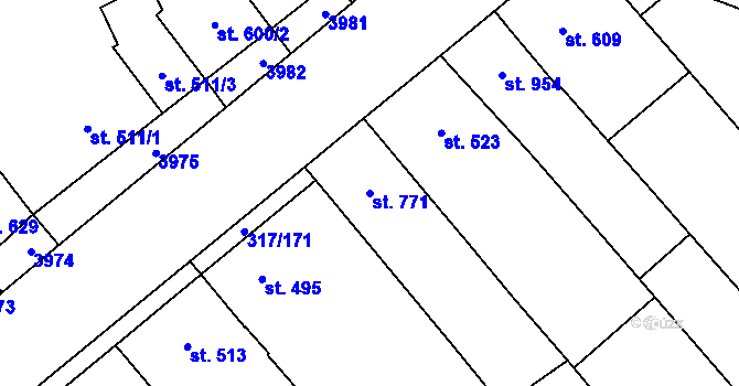 Parcela st. 771 v KÚ Rakvice, Katastrální mapa