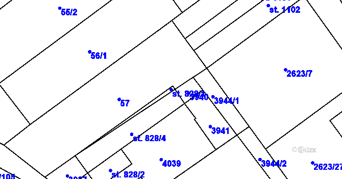 Parcela st. 828/1 v KÚ Rakvice, Katastrální mapa