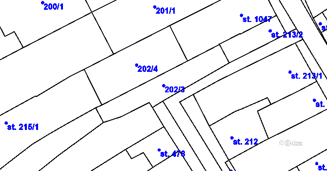 Parcela st. 202/3 v KÚ Rakvice, Katastrální mapa