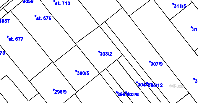 Parcela st. 303/2 v KÚ Rakvice, Katastrální mapa
