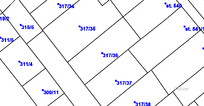 Parcela st. 317/36 v KÚ Rakvice, Katastrální mapa