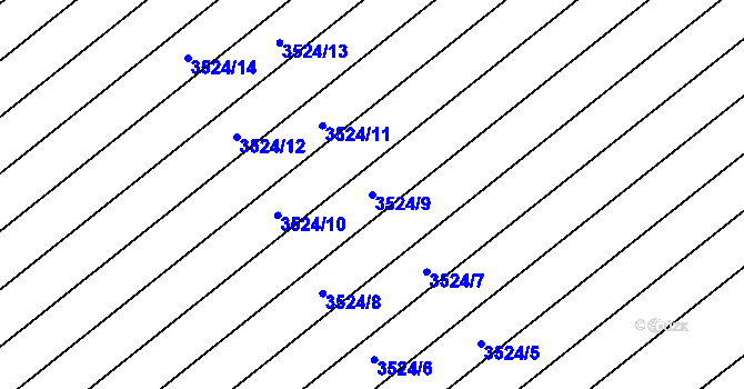 Parcela st. 3524/9 v KÚ Rakvice, Katastrální mapa