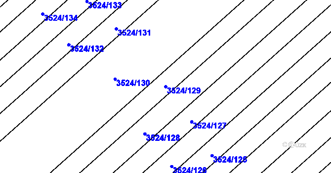 Parcela st. 3524/129 v KÚ Rakvice, Katastrální mapa