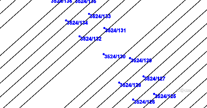 Parcela st. 3524/130 v KÚ Rakvice, Katastrální mapa
