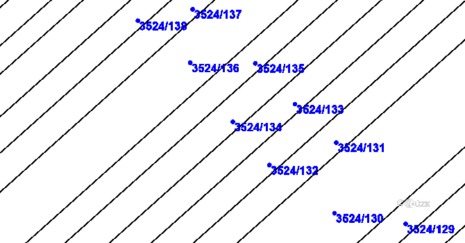 Parcela st. 3524/134 v KÚ Rakvice, Katastrální mapa
