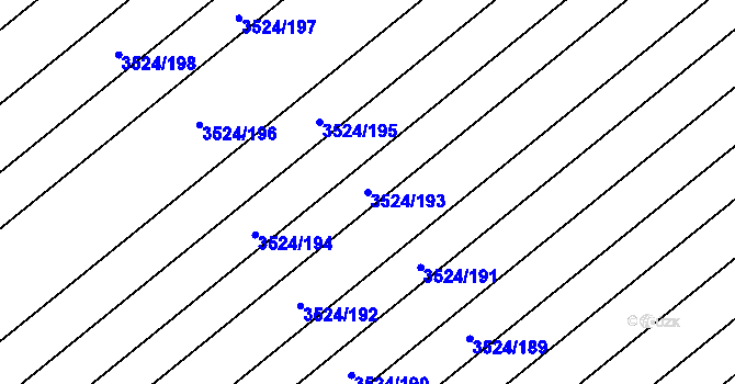 Parcela st. 3524/193 v KÚ Rakvice, Katastrální mapa