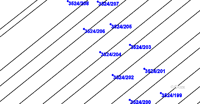 Parcela st. 3524/204 v KÚ Rakvice, Katastrální mapa