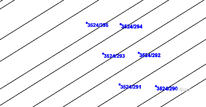 Parcela st. 3524/293 v KÚ Rakvice, Katastrální mapa