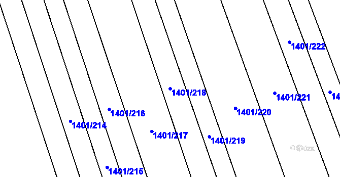 Parcela st. 1401/218 v KÚ Rakvice, Katastrální mapa