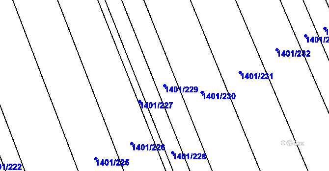 Parcela st. 1401/229 v KÚ Rakvice, Katastrální mapa