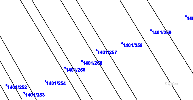 Parcela st. 1401/257 v KÚ Rakvice, Katastrální mapa