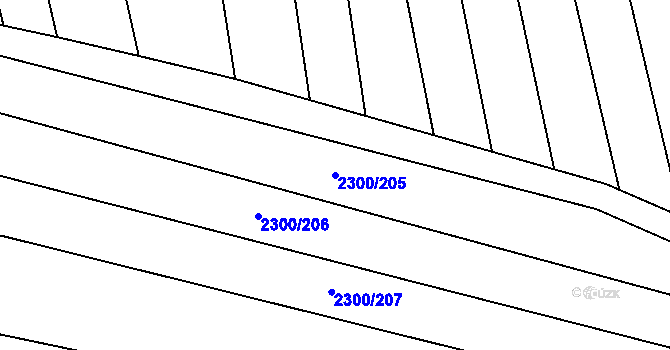Parcela st. 2300/205 v KÚ Rakvice, Katastrální mapa