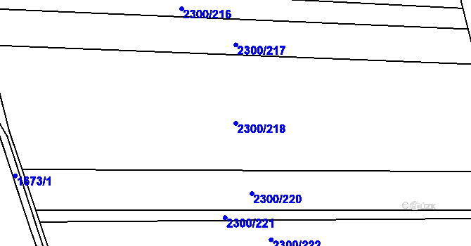 Parcela st. 2300/218 v KÚ Rakvice, Katastrální mapa
