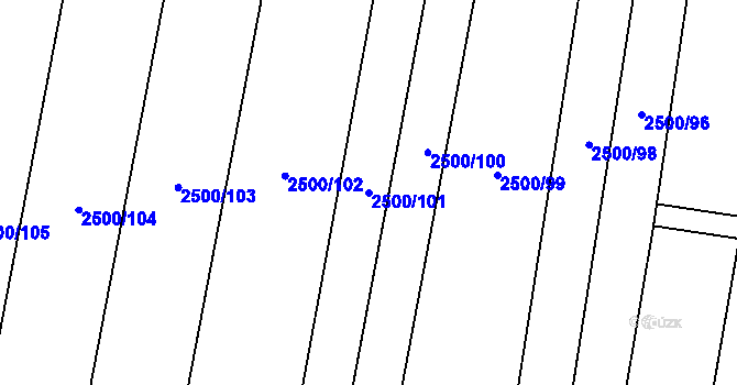 Parcela st. 2500/101 v KÚ Rakvice, Katastrální mapa