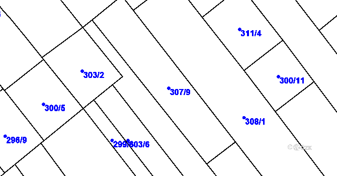 Parcela st. 307/9 v KÚ Rakvice, Katastrální mapa