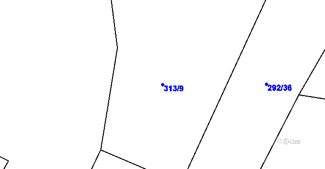 Parcela st. 313/9 v KÚ Rankov u Chotěboře, Katastrální mapa