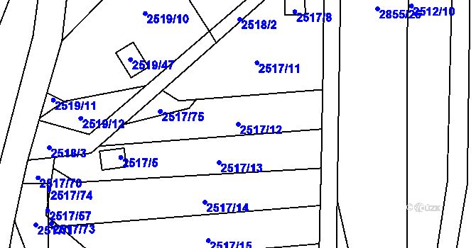 Parcela st. 2517/12 v KÚ Rapotín, Katastrální mapa