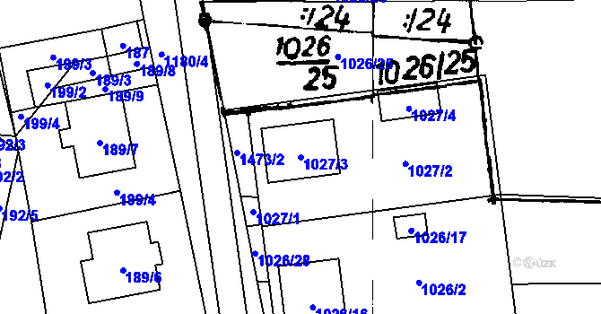 Parcela st. 1027/3 v KÚ Rapšach, Katastrální mapa
