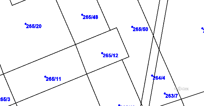 Parcela st. 265/12 v KÚ Rapšach, Katastrální mapa