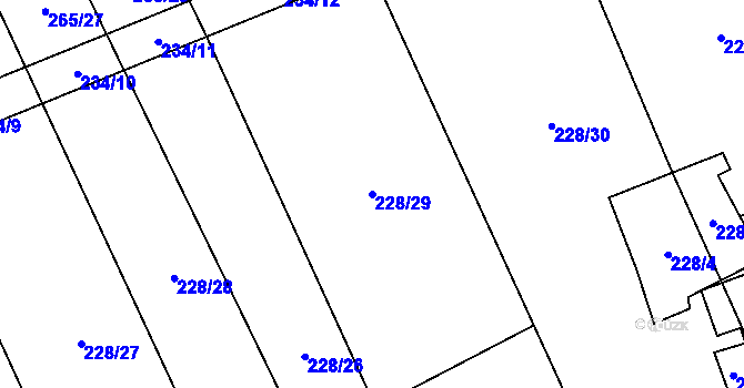 Parcela st. 228/29 v KÚ Rapšach, Katastrální mapa